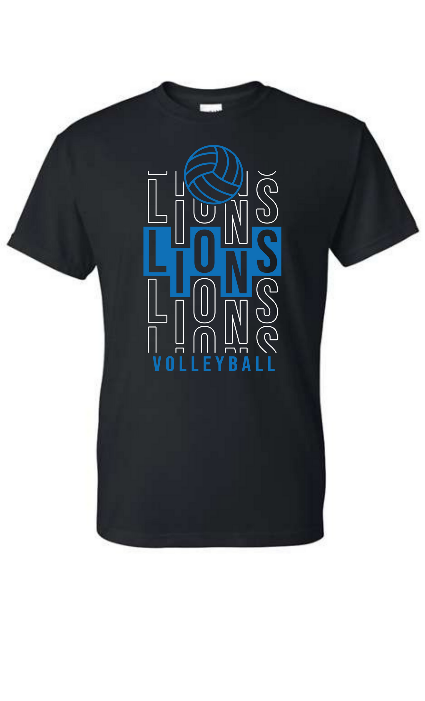 Lions lions lions Volleyball