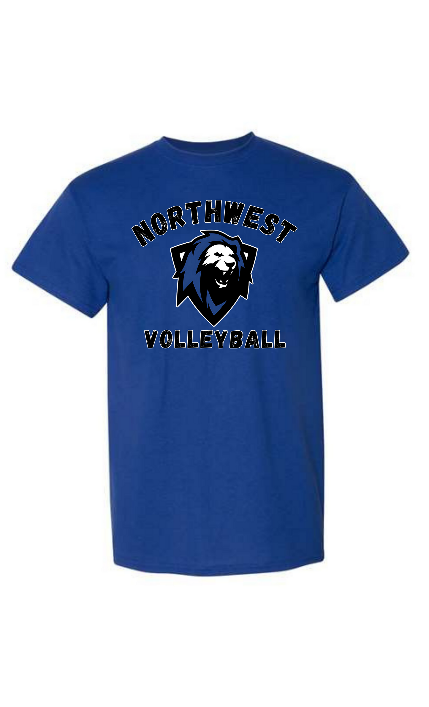 NW Lions Volleyball