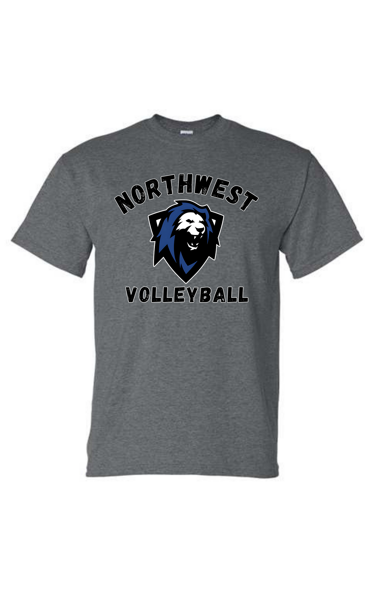 NW Lions Volleyball