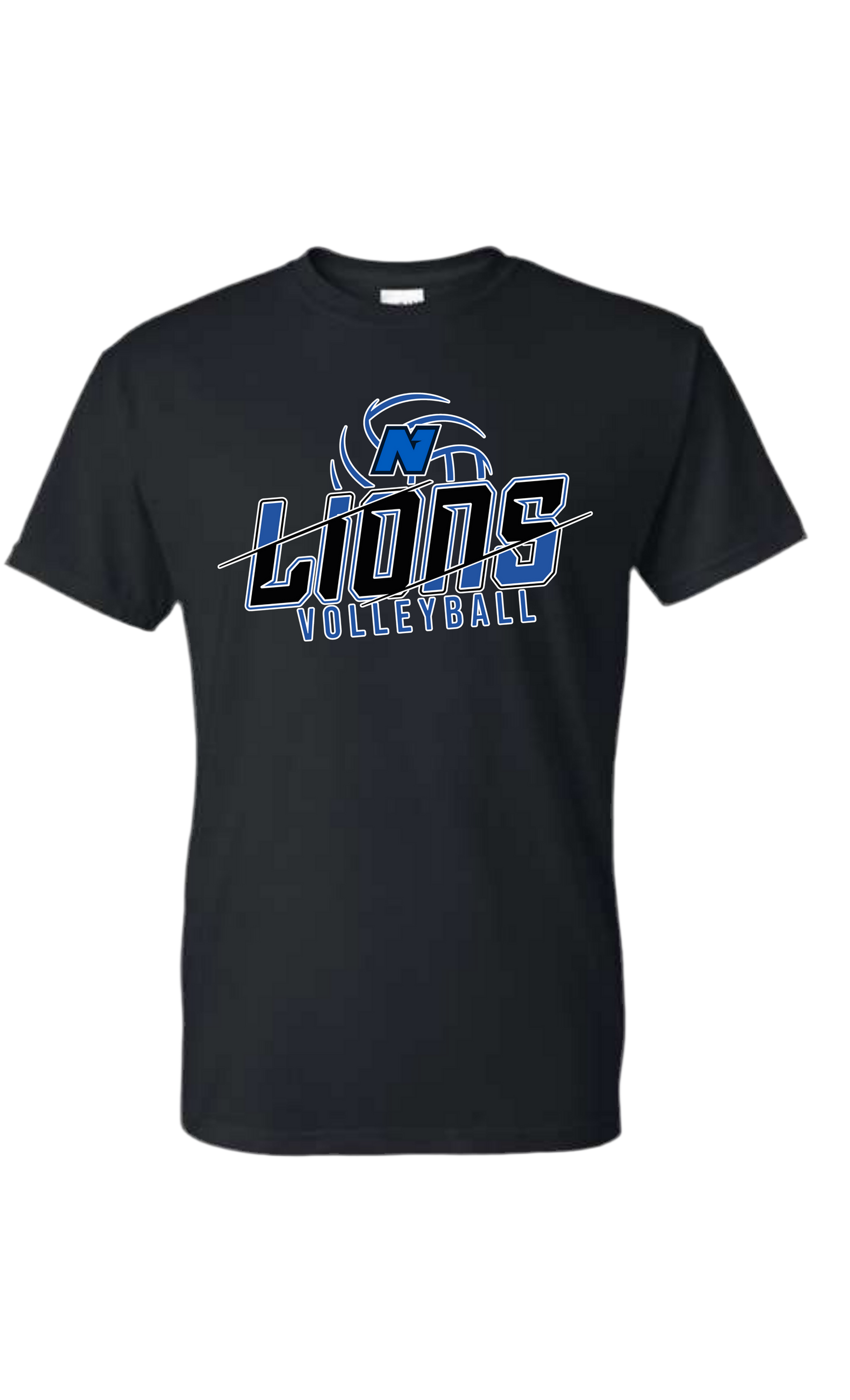 Northwest Lions Volleyball