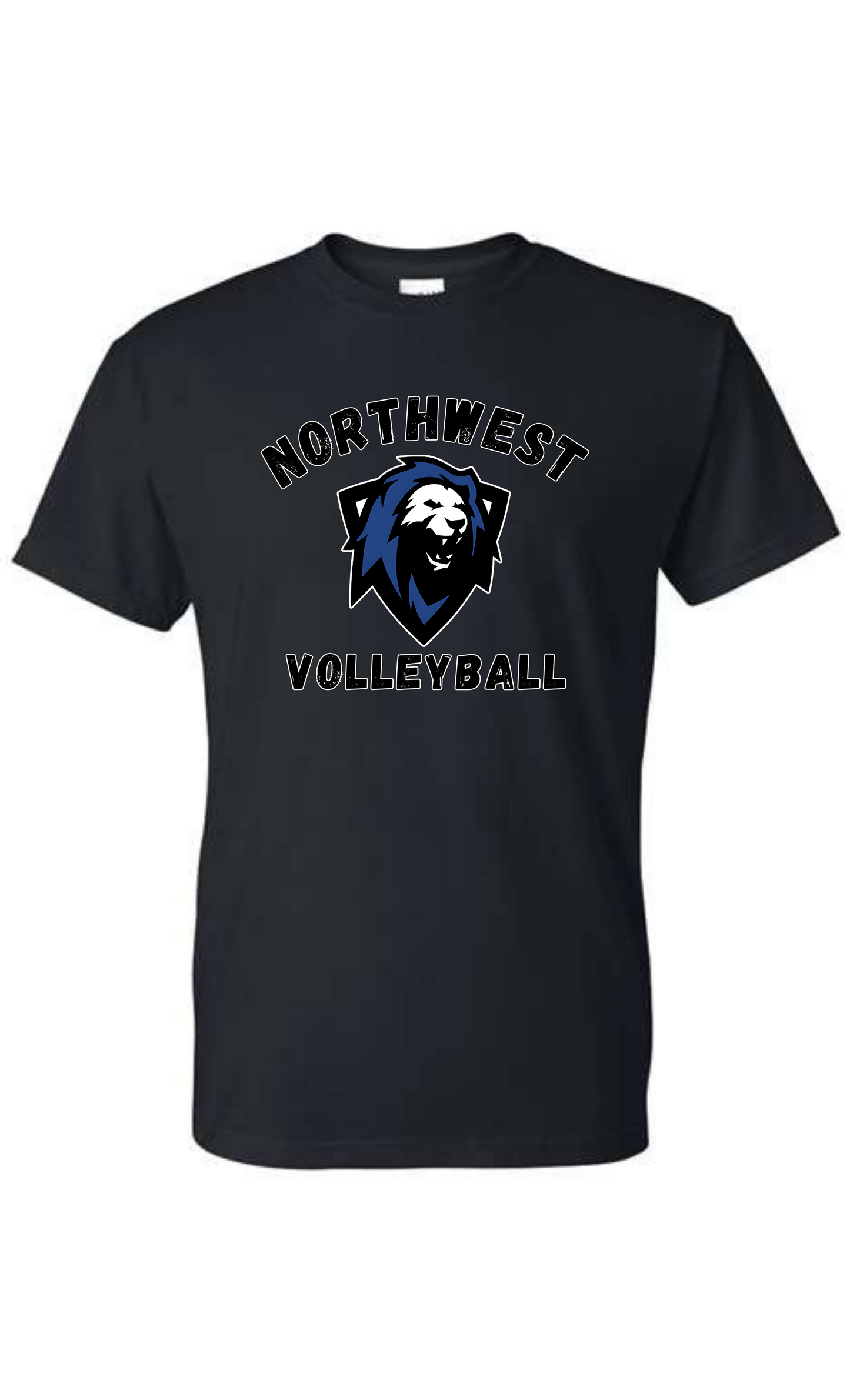 NW Lions Volleyball