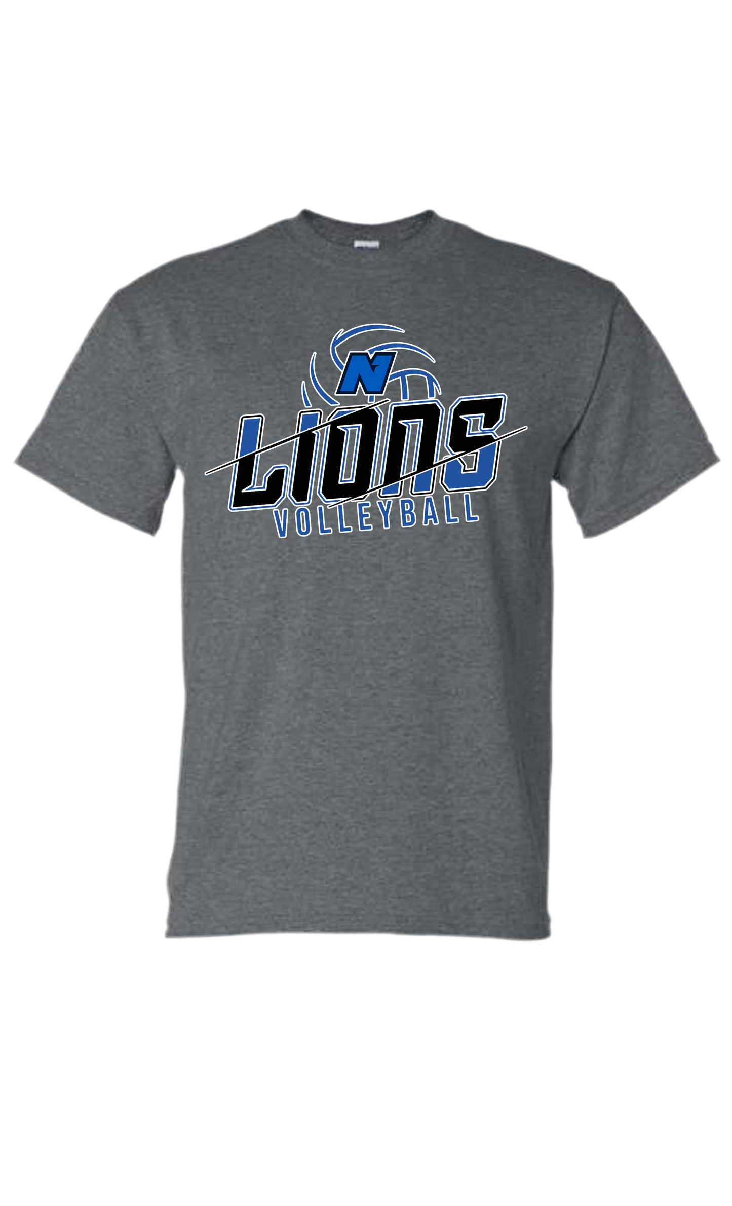 Northwest Lions Volleyball