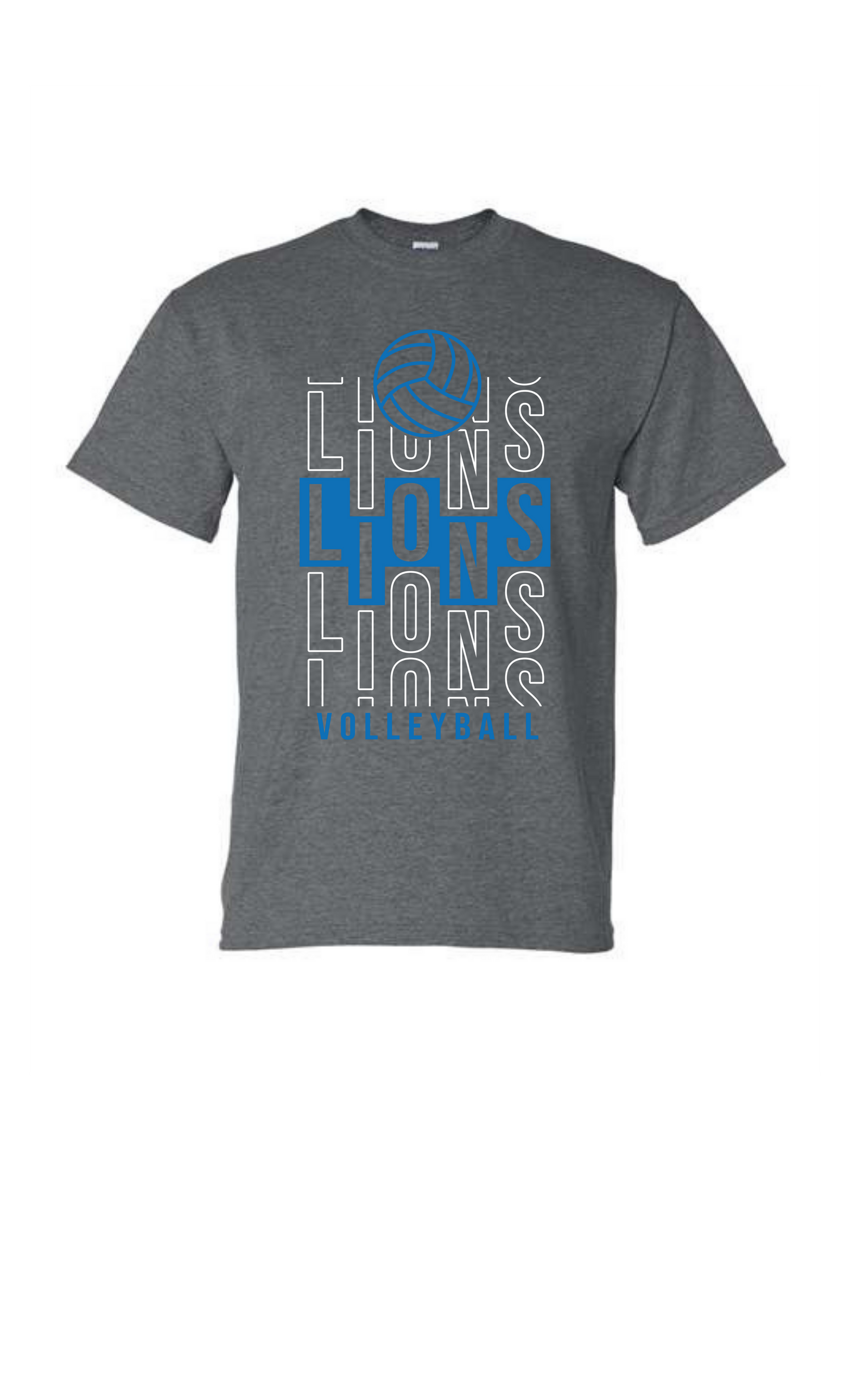 Lions lions lions Volleyball